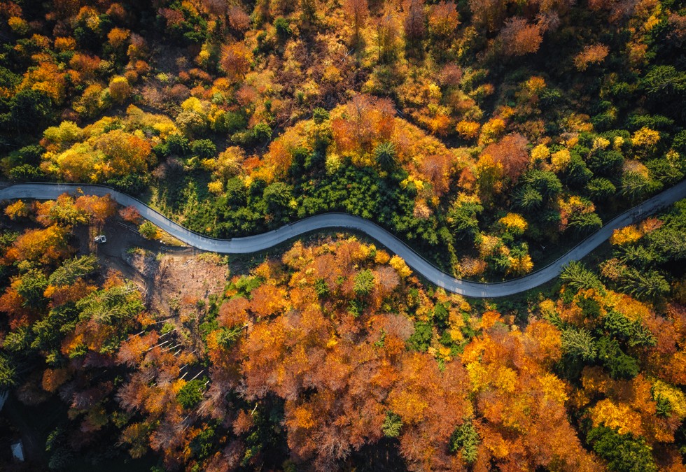 Aerial view of winding road through autumn forest